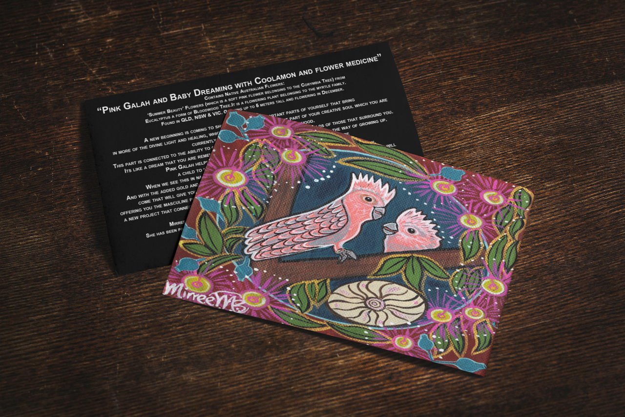 'Pink Galah and Baby with Flower Medicine' Aboriginal Art A6 Story PostCard Single by Mirree