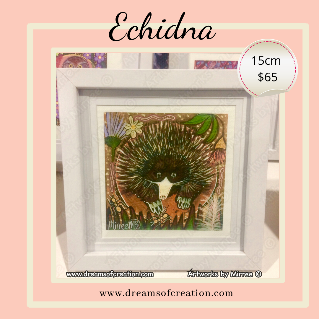 'Echidna' 15cm Framed CANVAS PRINT by Mirree Contemporary Aboriginal Art