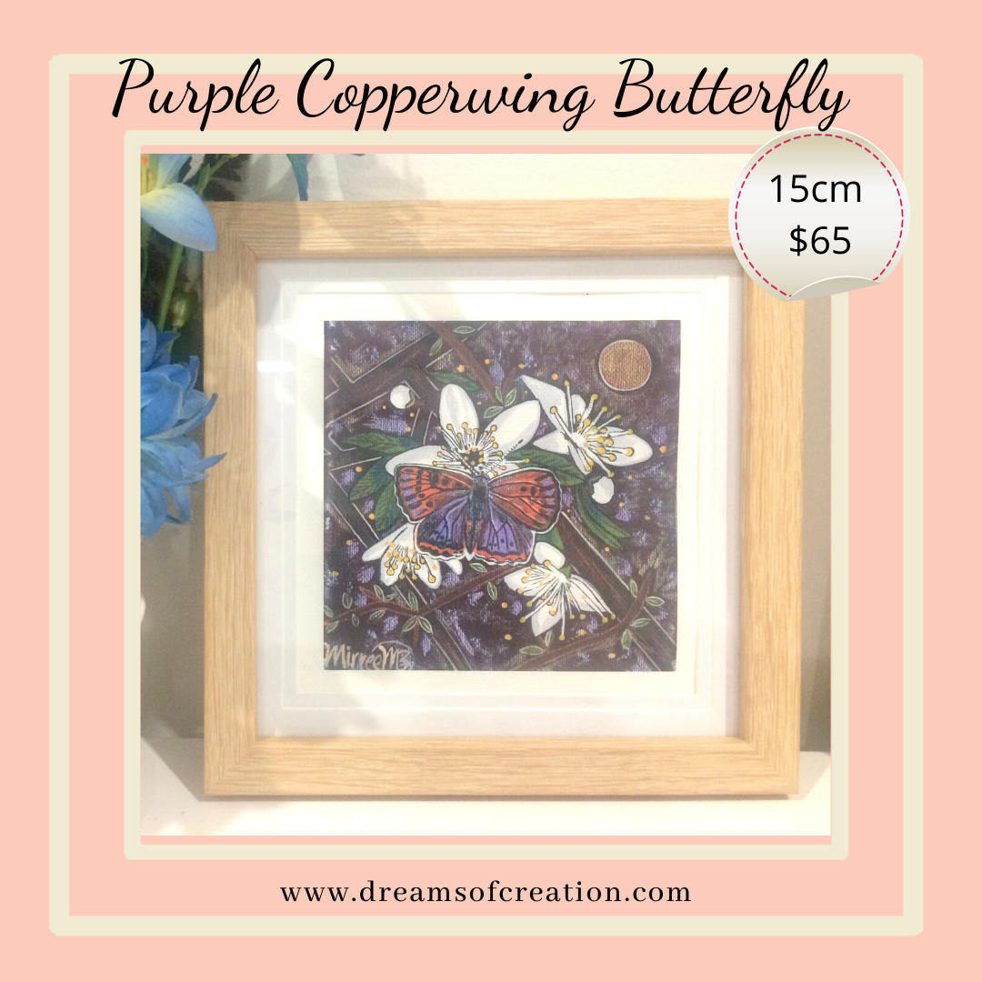 'Purple Copperwing Butterfly with Blackthorn Blossoming Flower' 15cm Framed CANVAS PRINT by Mirree Contemporary Aboriginal Art